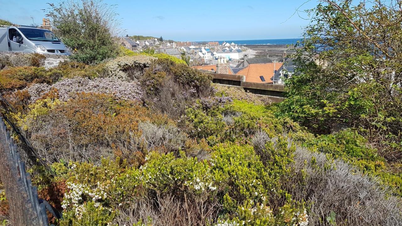 Myrtle Cottage Johnshaven Exterior photo